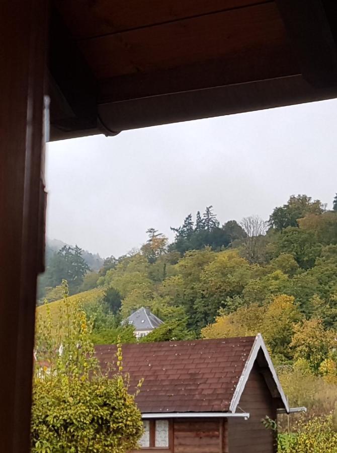 Apartament La Valeriane Kintzheim Zewnętrze zdjęcie