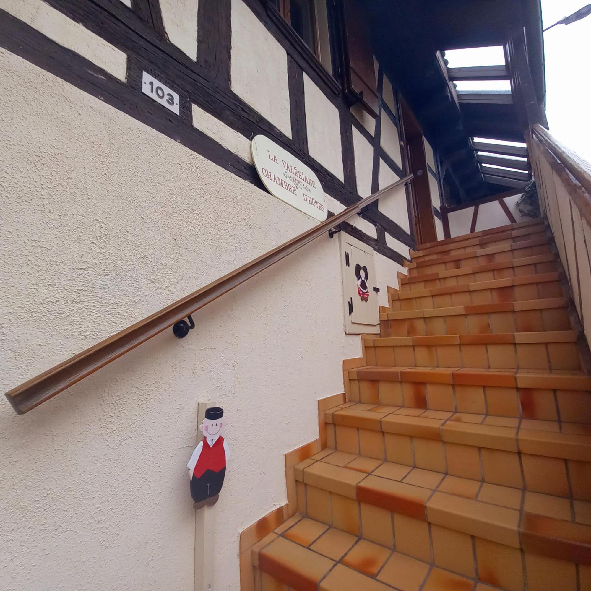 Apartament La Valeriane Kintzheim Zewnętrze zdjęcie